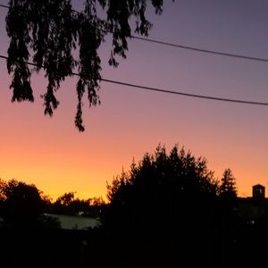 Meet your Posher, Isabel